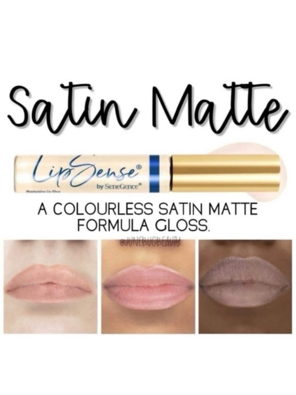 ❌FINAL PRICE❌NWT. LipSense Satin Matte Gloss by SeneGence